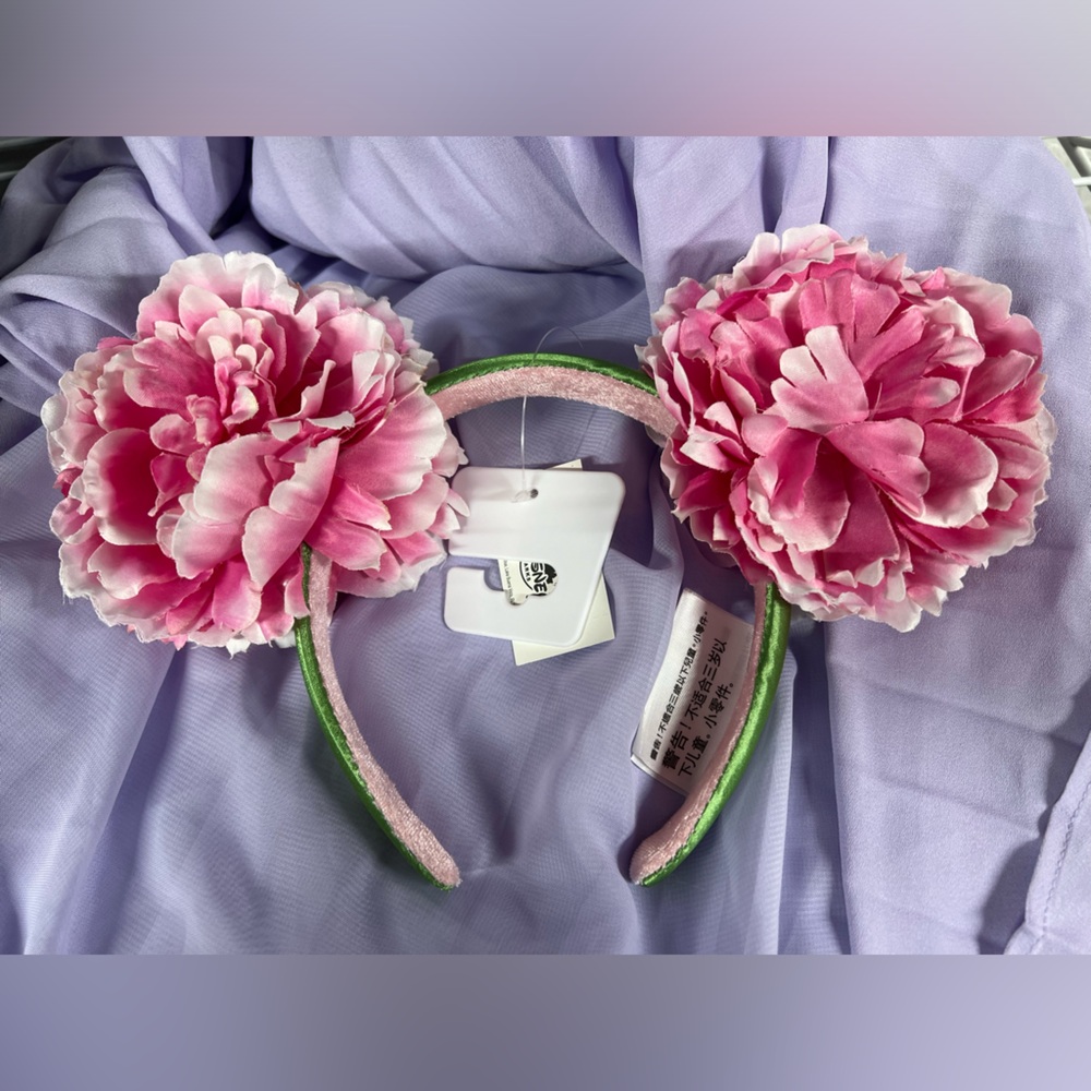 Disney Mickey ears